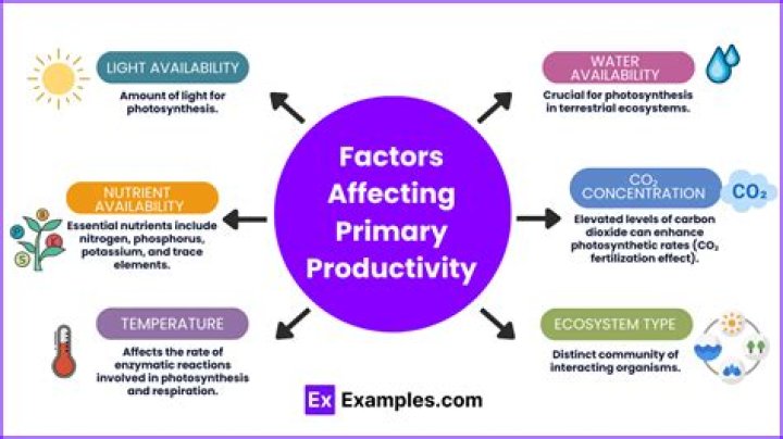 How does labor affect productivity?