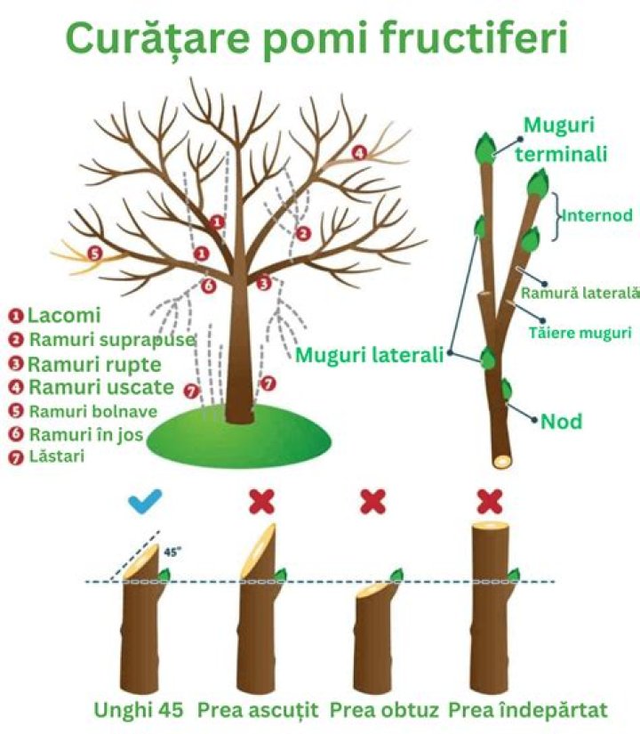 How far back can I file form 8606?
