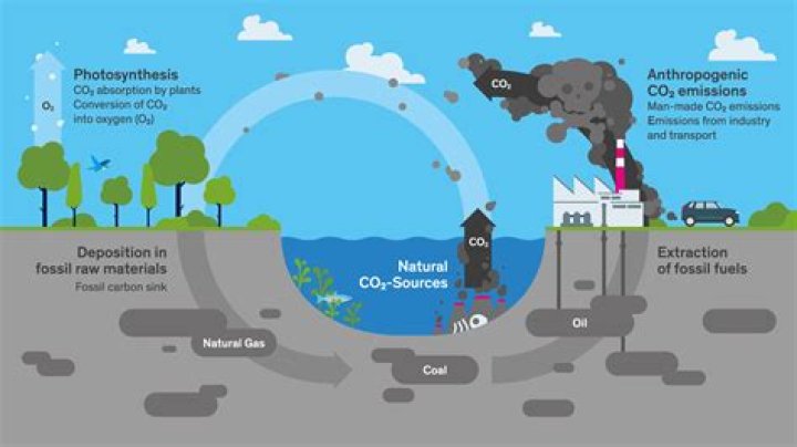 How is carbon dioxide converted into organic matter naturally?