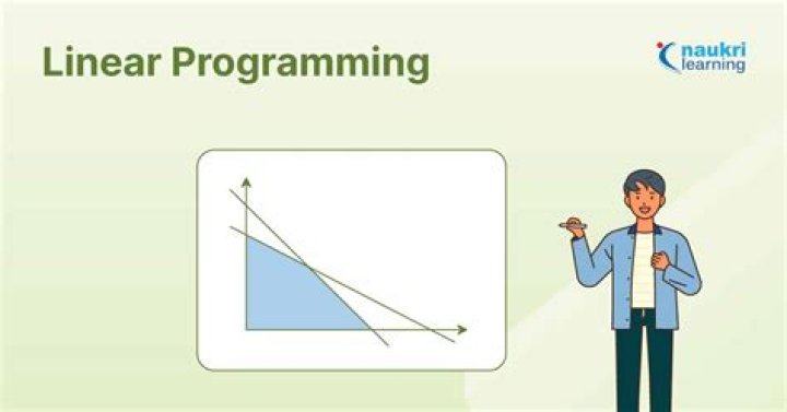 How is linear programming used in finance?