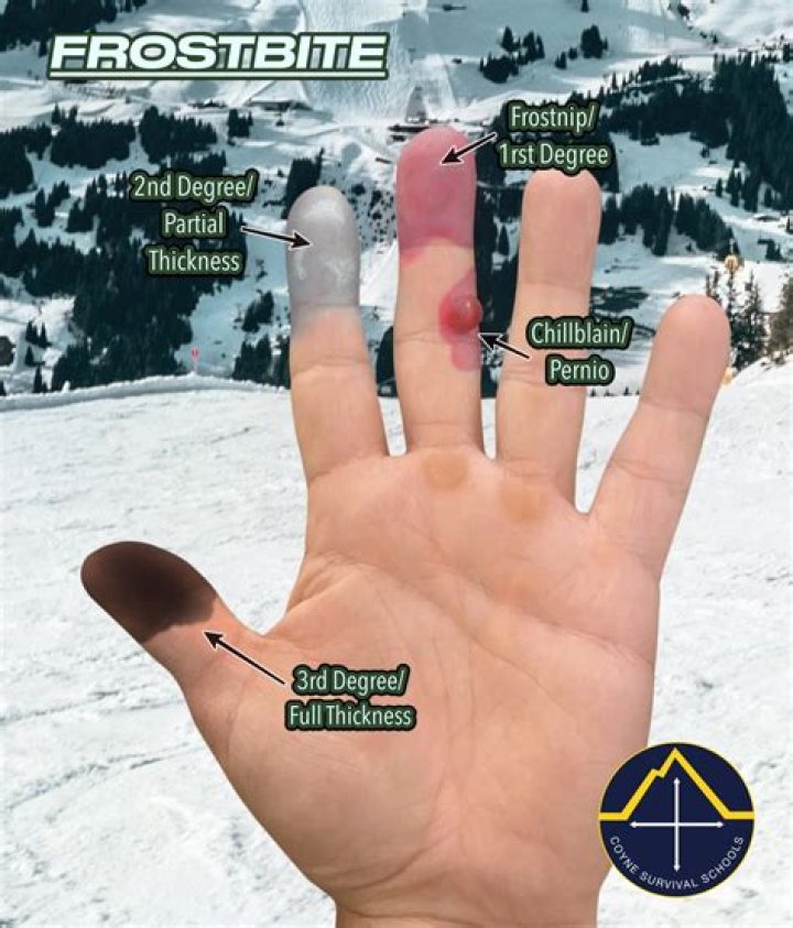 How long does it take to get a 2290?