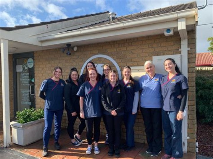 How long is vet grad school?