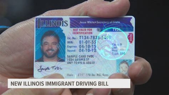 How many cars can I sell in Illinois without a license?