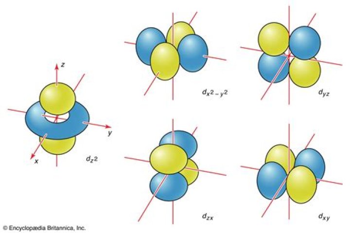 How many p orbitals are occupied in an atom?