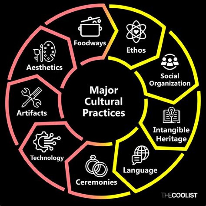 How many pediatric practices are there in the US?