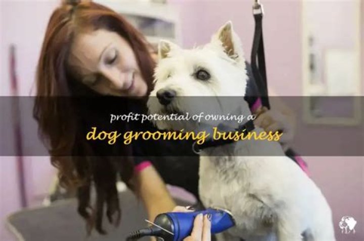 How much can you make owning a dog grooming business?