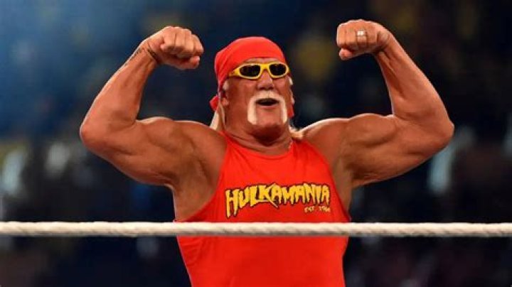 How much did Hulk Hogan make per year?