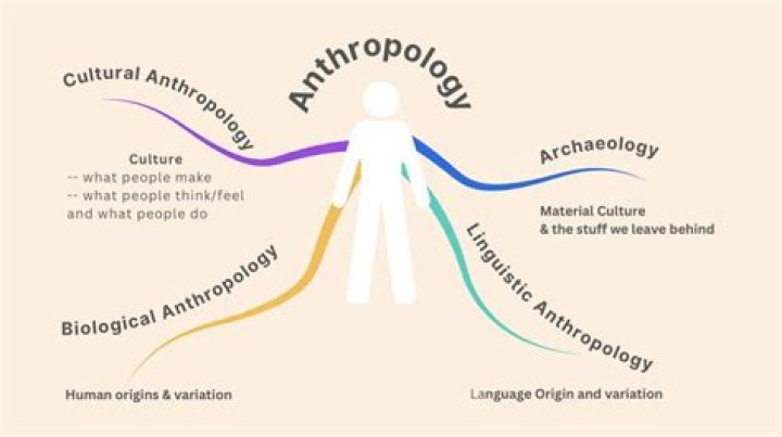 How much do anthropologists make with a PhD?