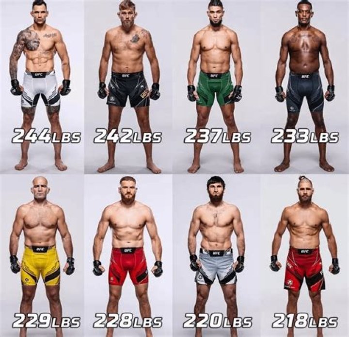 How much do average UFC fighters get paid?