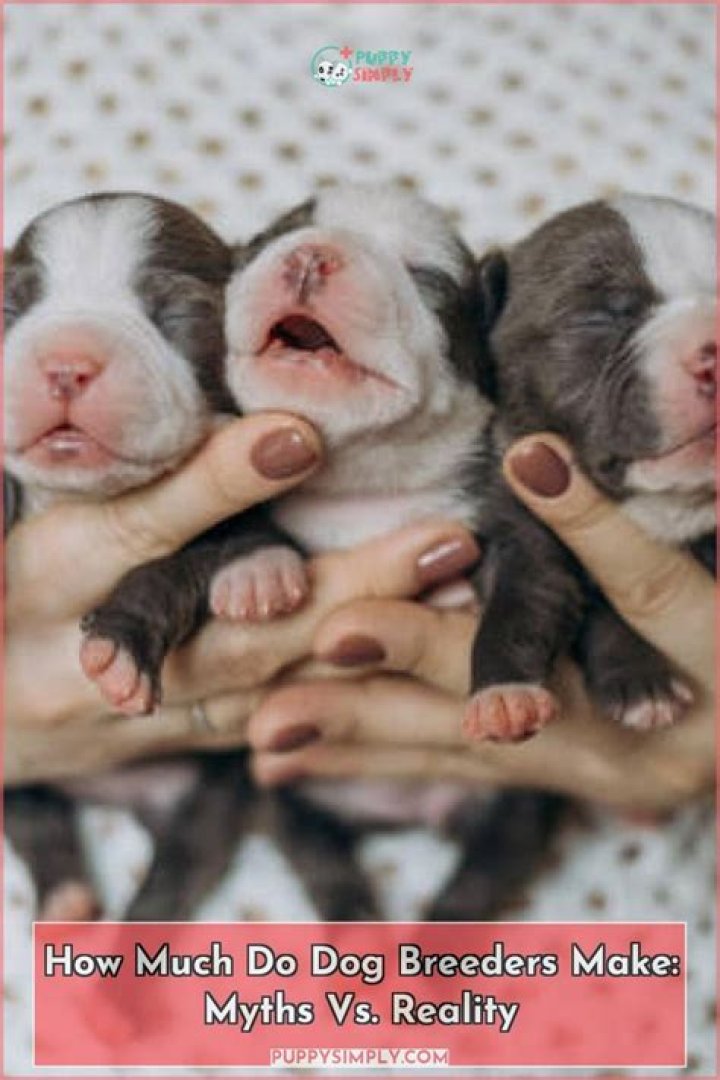 How much do Breeders make per year?