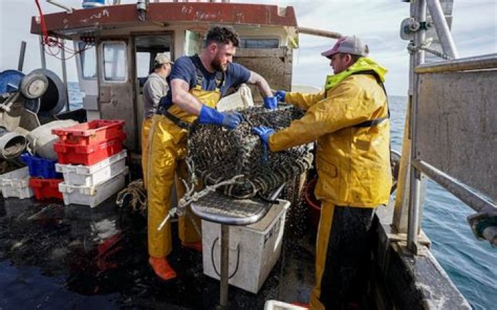 How much do fishermen make Ireland?