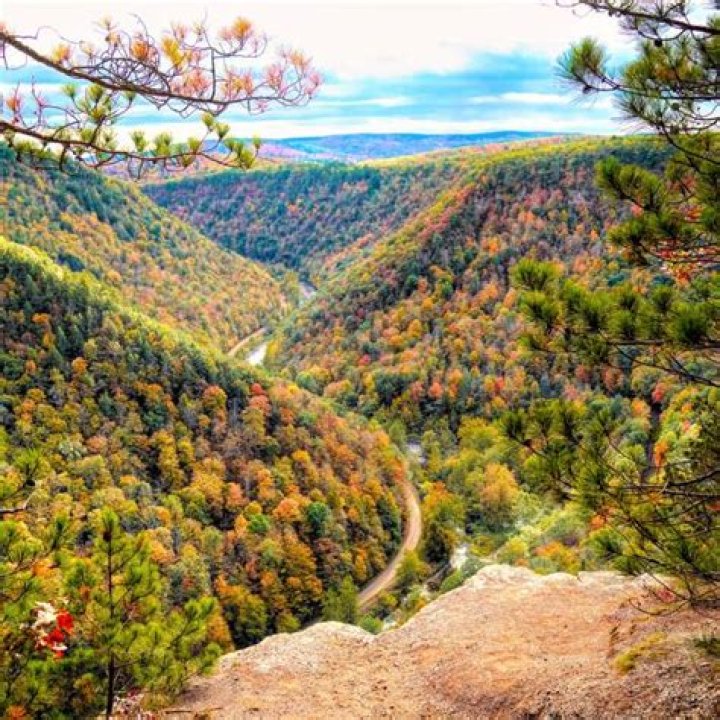 How much do PA make out of school?