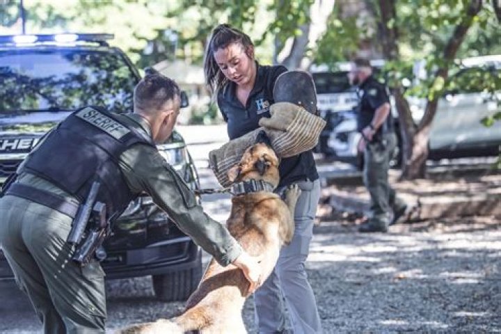 How much do police K9 trainers make?