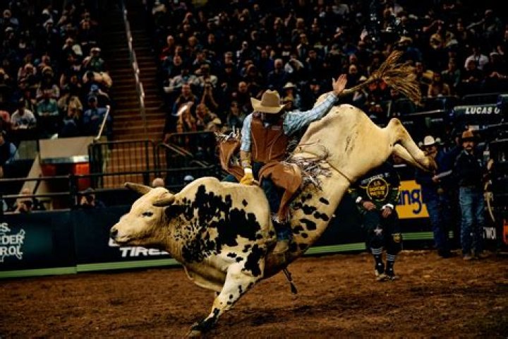 How much do rodeo riders make a year?