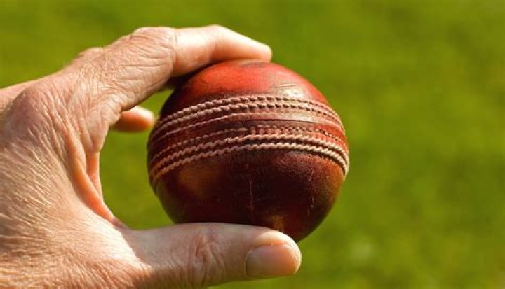 How much do softball umpires get paid?