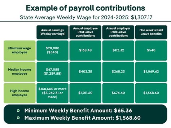 How much do you get paid to work as a vet?