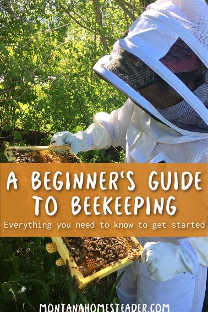 How much does a beekeeper make per hour?