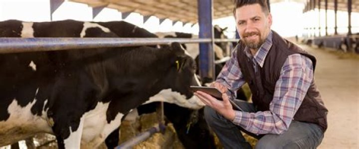 How much does a dairy farmer make annually?