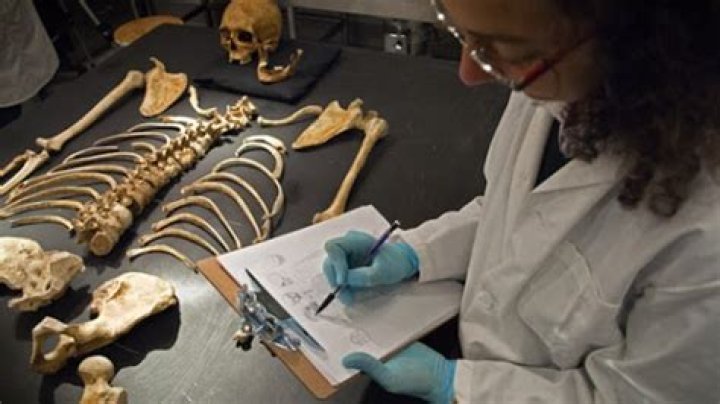 How much does a forensic anthropologist make in the FBI?