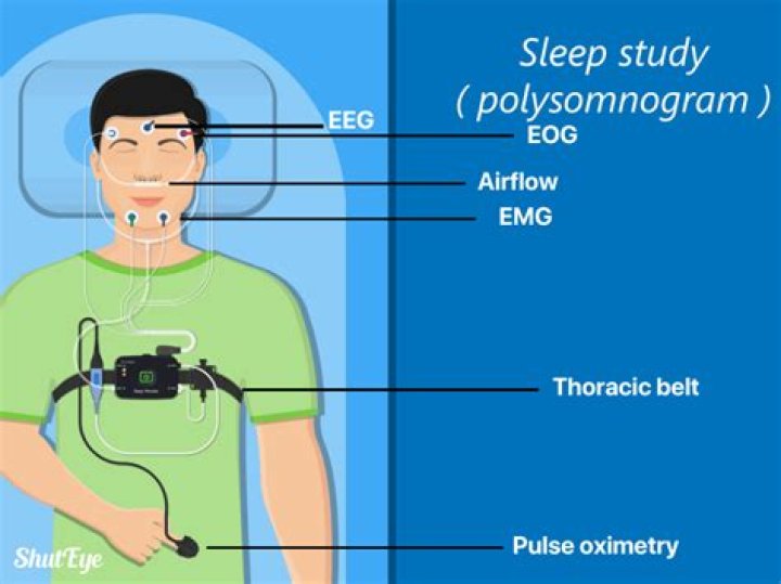 How much does a polysomnography make an hour?
