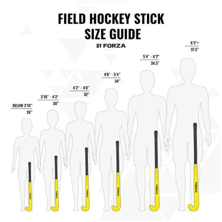 How much does a pro field hockey player make?
