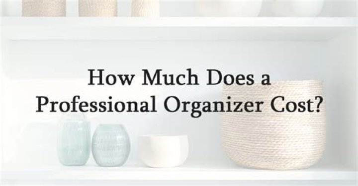 How much does a professional organizer make annually?