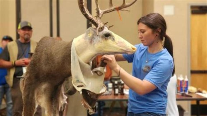 How much does a professional taxidermist make?