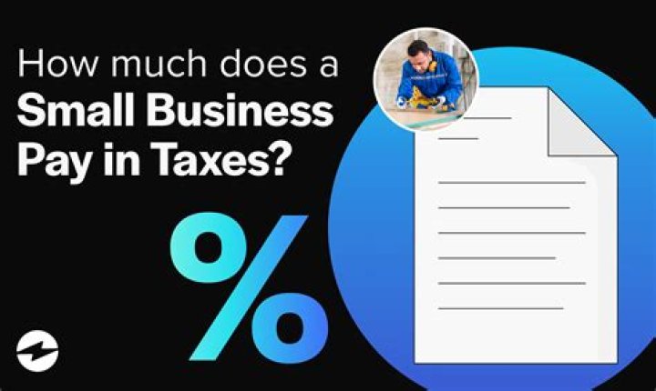 How much does a small business pay in taxes?