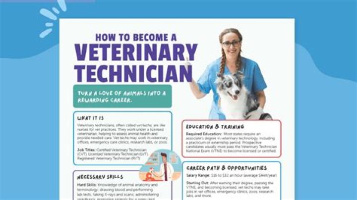 How much does a vet tech MA?