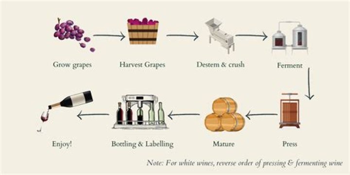 How much does a wine representative make?