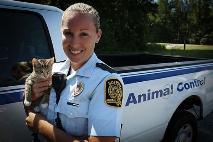 How much does animal control make in Florida?