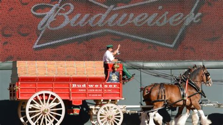 How much does Budweiser pay their truck drivers?