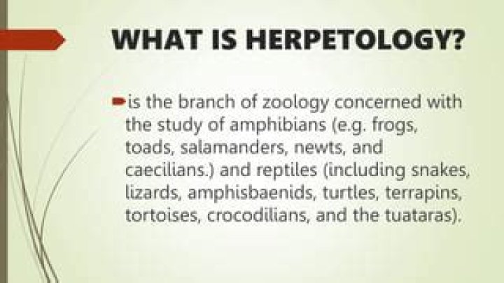 How much does it cost to get a degree in herpetology?