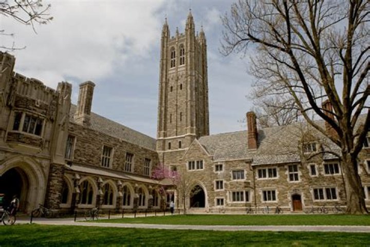 How much does it cost to go to Princeton University for 4 years?