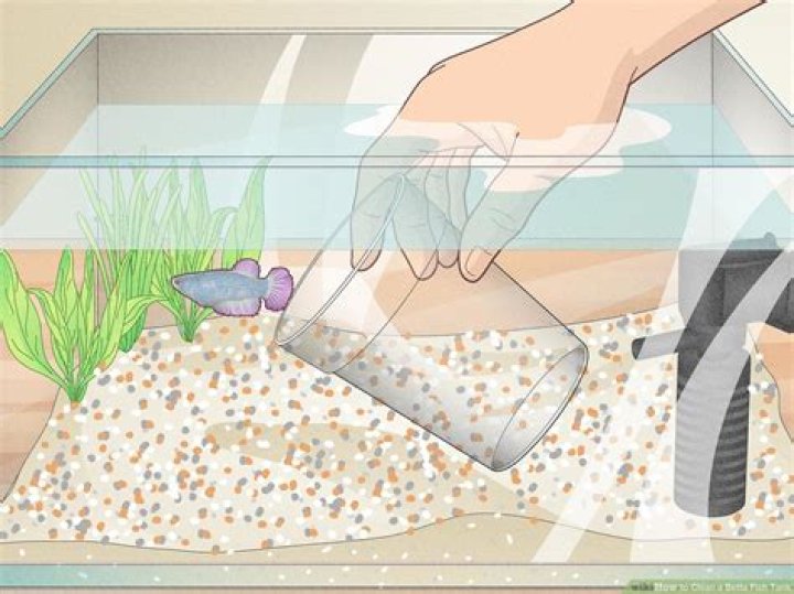 How much does it cost to have someone clean a fish tank?