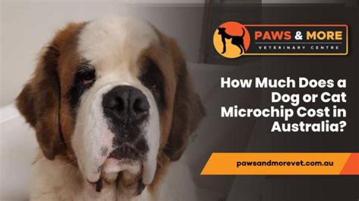 How much does it cost to set up a restaurant?