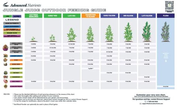 How much does it cost to start a marijuana grow in California?