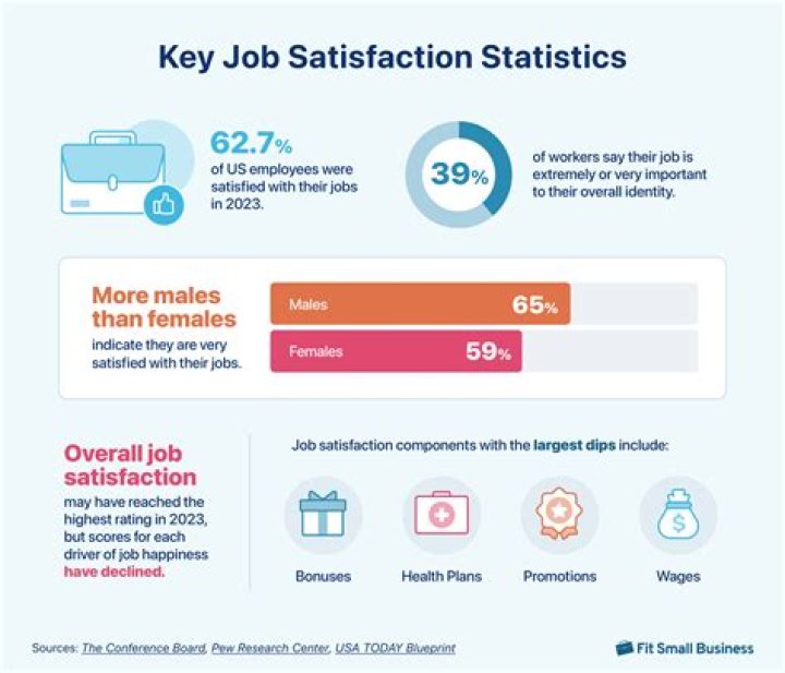 How much does job satisfaction affect performance?
