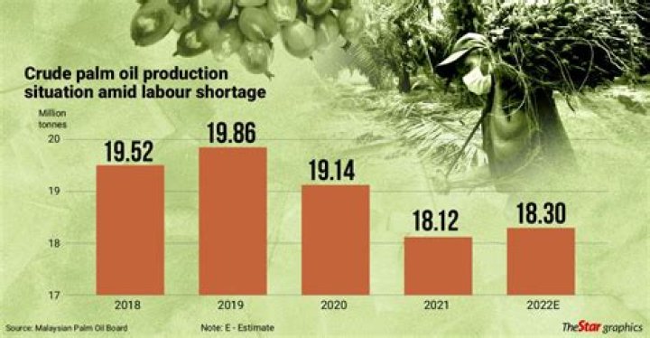 How much does Malaysia export palm oil?