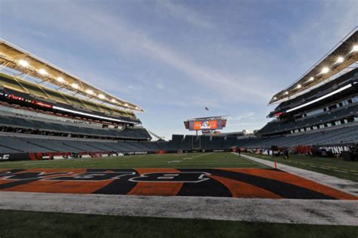 How much does the Bengals owner make?