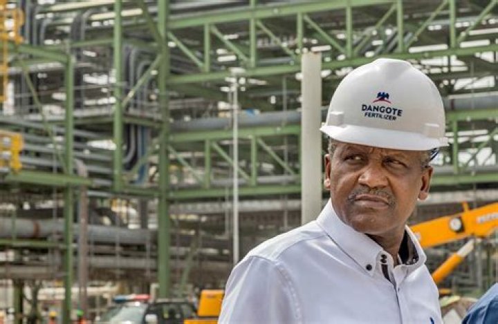 How much is the price of Dangote Cement in Nigeria?