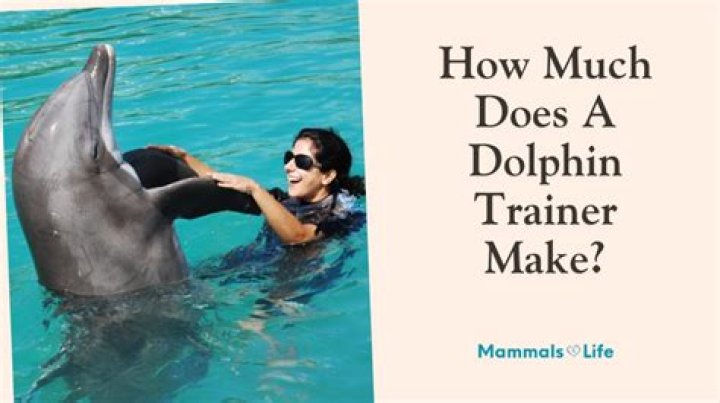 How much money do you make as a dolphin trainer?
