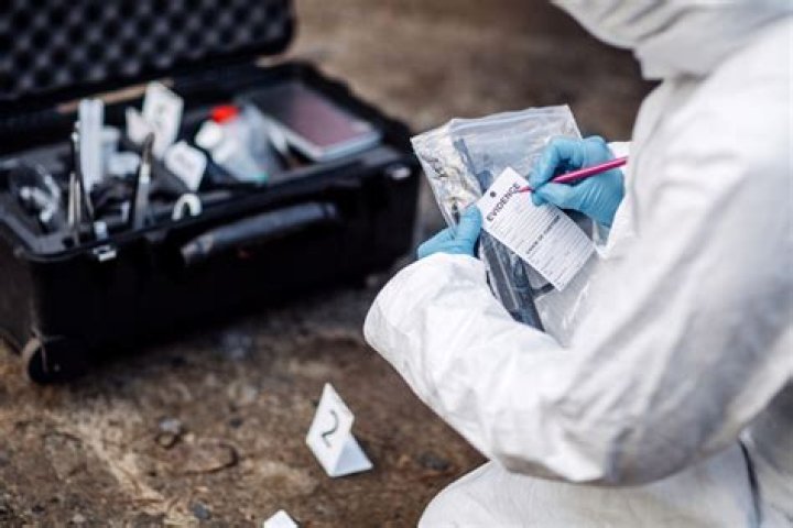 How much money does a criminologist make?