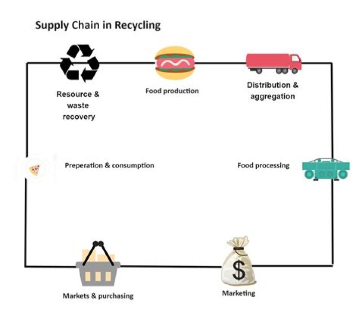 How much money does a supply chain specialist make?