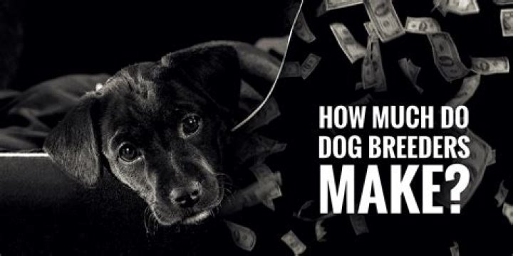 How much profit do dog breeders make?