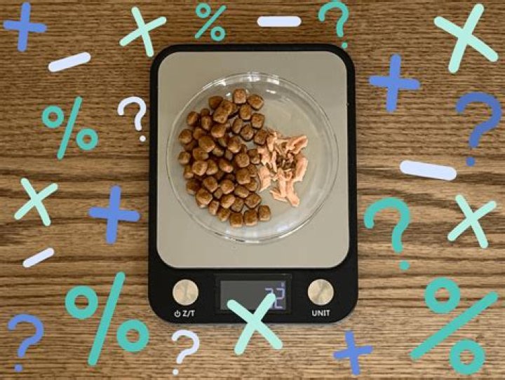 How much should a kitchen hand get paid?