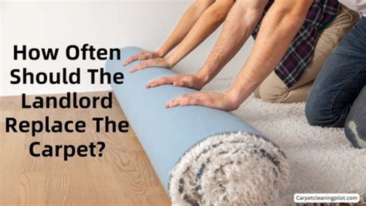 How often should a private landlord replace carpet?