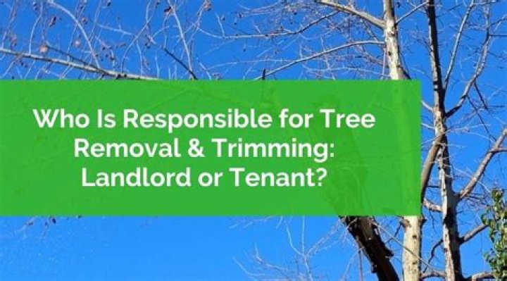 Is landlord or tenant responsible for trees?