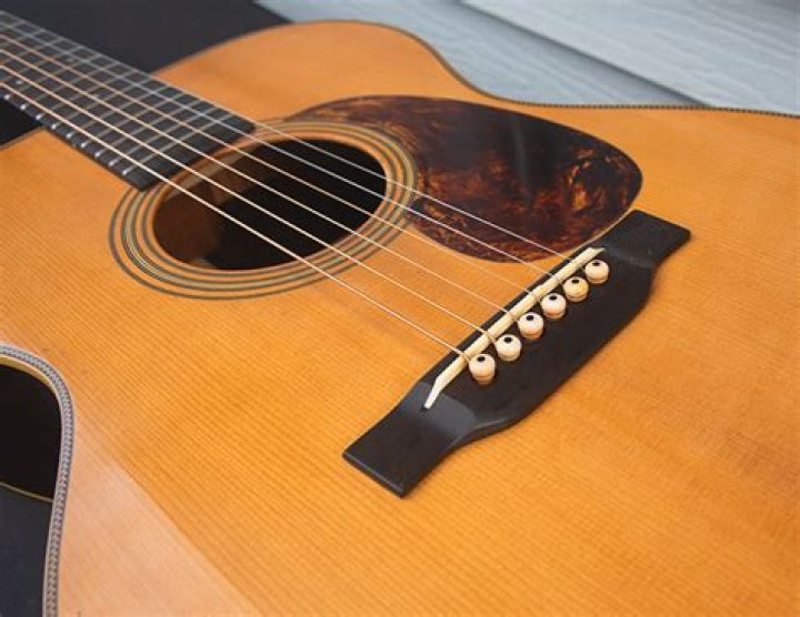 Is Martin Guitar publicly traded?