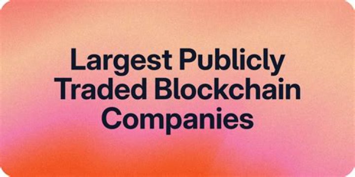 Is Newegg com publicly traded?